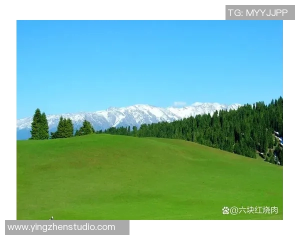 探索女王公园的自然魅力与历史韵味，感受城市绿洲的宁静与美丽