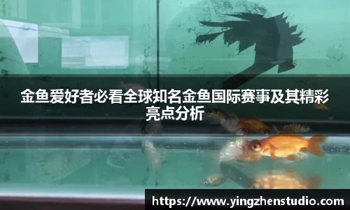 RAYBET雷竞技官网