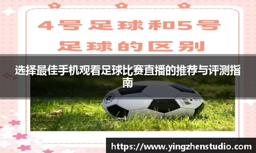 RAYBET雷竞技官网